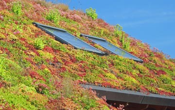 Churchover living roof systems