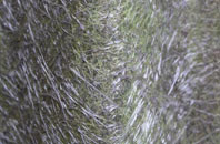 Churchover fibreglass roof work